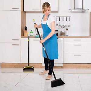 TreeLen Dust Pan and Broom Dustpan